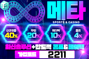 메타 도메인 추천인