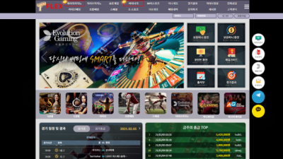 [먹튀확정] 플렉스 먹튀사이트 FLEX 검증 flex989.com