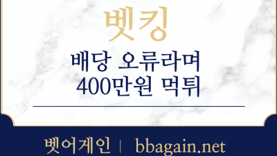 490만원 부분 먹튀한 벳킹 먹튀사이트 확정