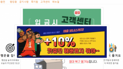 [먹튀확정] 레이즈그래프 먹튀사이트 RAISE 검증 odifog.com