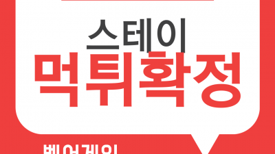 양방이라며 아이디 짜른 뒤 먹튀한 스테이 먹튀사이트 확정